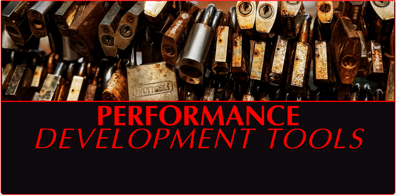 PERFORMANCE